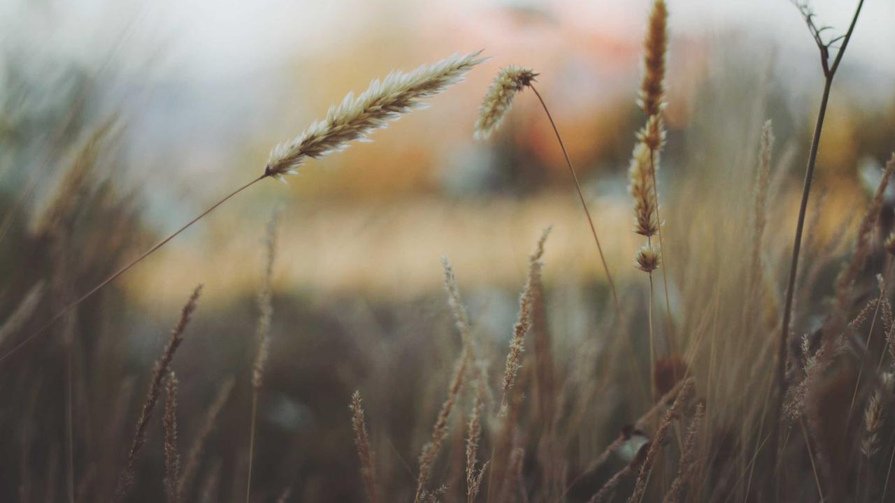 Future Outlook For Modern Agricultural Lands In 2026